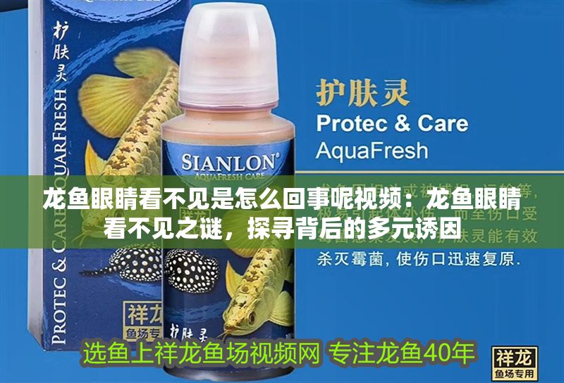 龍魚眼睛看不見是怎么回事呢視頻：龍魚眼睛看不見之謎，探尋背后的多元誘因
