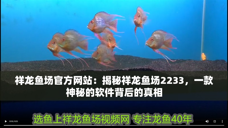 祥龍魚場官方網站：揭秘祥龍魚場2233，一款神秘的軟件背后的真相