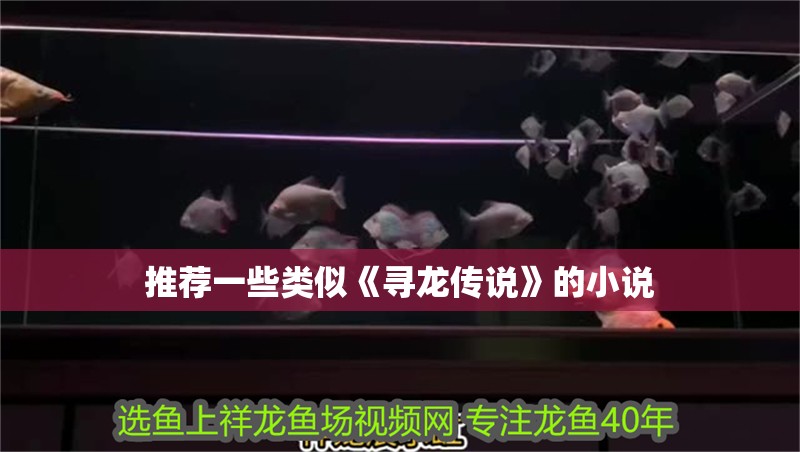 推薦一些類(lèi)似《尋龍傳說(shuō)》的小說(shuō)