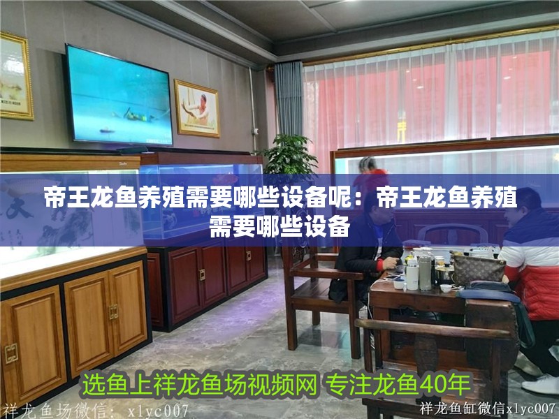 帝王龍魚養殖需要哪些設備呢：帝王龍魚養殖需要哪些設備