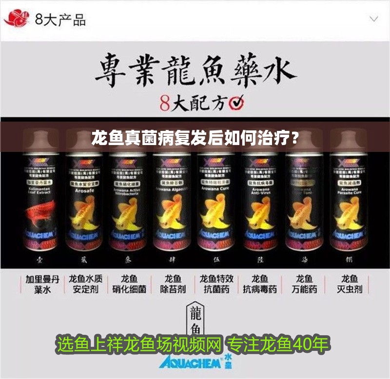 魚缸用增氧泵價格是多少:魚缸增氧機-xtrac增氧機-xtrac增氧機 龍魚真菌病復發后如何治療? 龍魚百科 龍魚真菌病復發后如何治療? 龍魚真菌病復發后如何治療? 龍魚百科