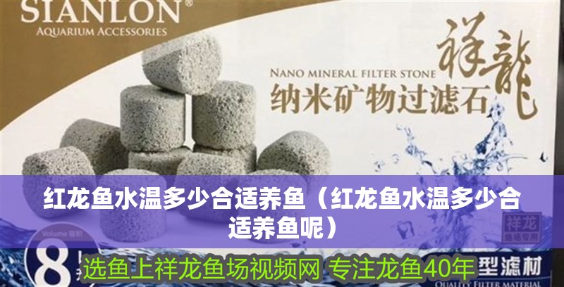 紅龍魚水溫多少合適養魚（紅龍魚水溫多少合適養魚呢）