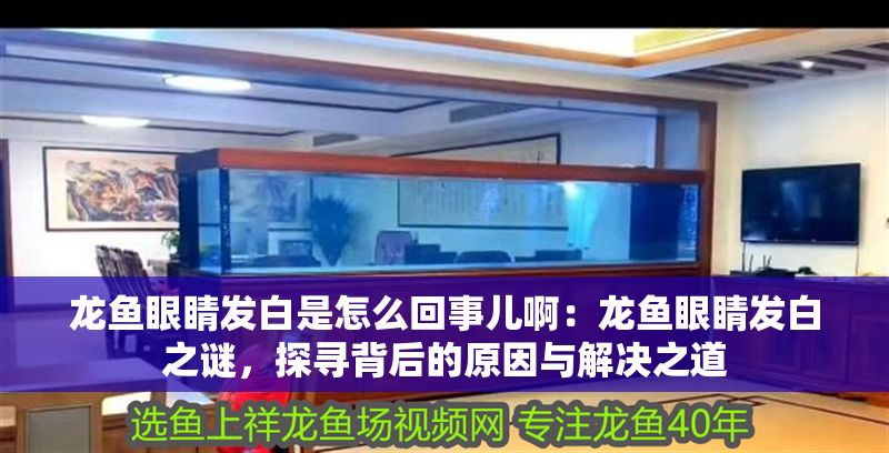 龍魚眼睛發白是怎么回事兒啊：龍魚眼睛發白之謎，探尋背后的原因與解決之道
