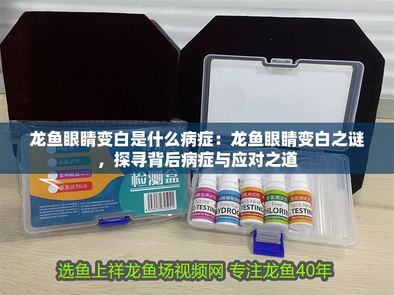 龍魚眼睛變白是什么病癥：龍魚眼睛變白之謎，探尋背后病癥與應(yīng)對之道 龍魚眼睛變白是什么病癥：龍魚眼睛變白之謎，探尋背后病癥與應(yīng)對之道 龍魚百科 第1張