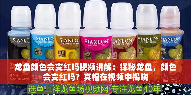 龍魚(yú)顏色會(huì)變紅嗎視頻講解：探秘龍魚(yú)，顏色會(huì)變紅嗎？真相在視頻中揭曉