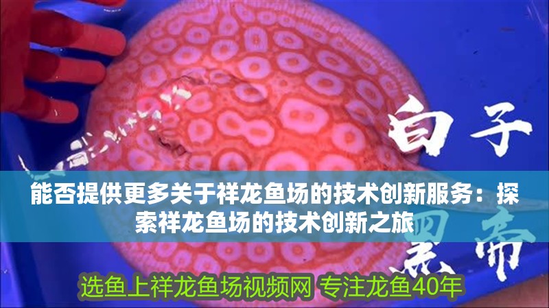 能否提供更多關于祥龍魚場的技術創新服務：探索祥龍魚場的技術創新之旅