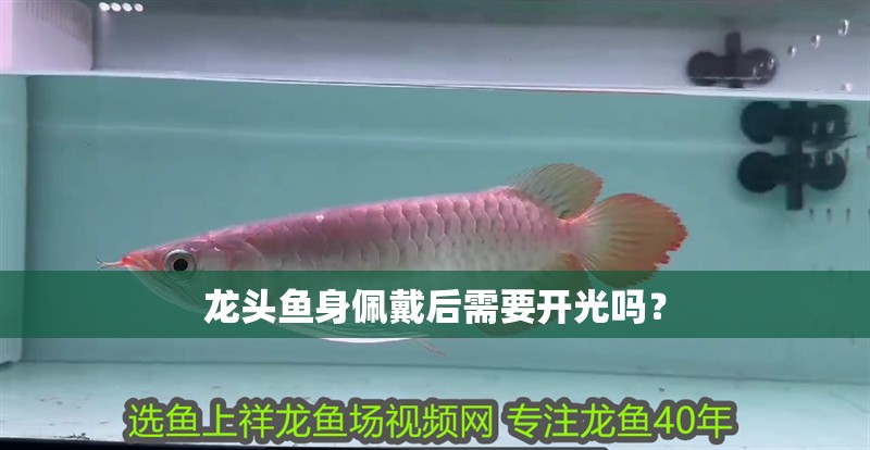 龍頭魚身佩戴后需要開光嗎？