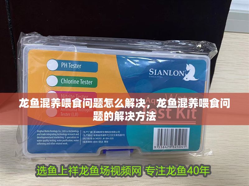 龍魚混養喂食問題怎么解決，龍魚混養喂食問題的解決方法 龍魚混養喂食問題怎么解決，龍魚混養喂食問題的解決方法 龍魚百科 第2張