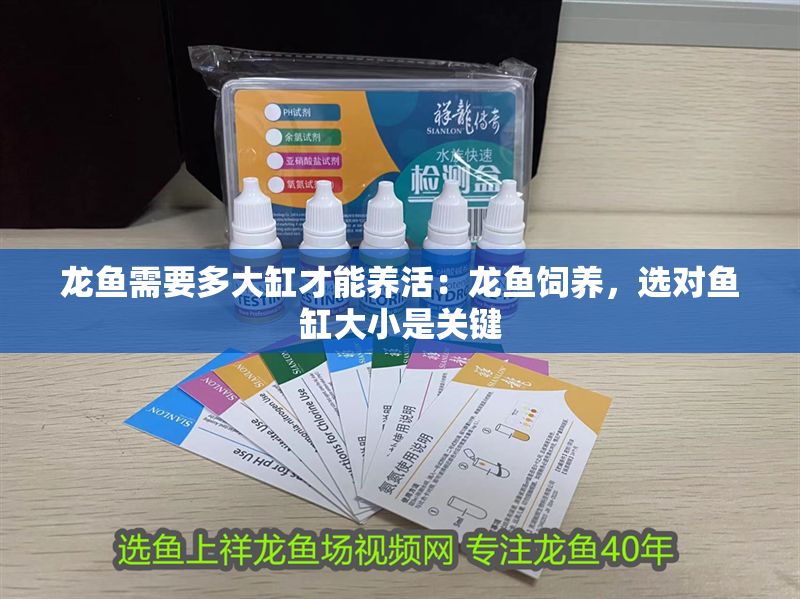 龍魚需要多大缸才能養(yǎng)活：龍魚飼養(yǎng)，選對魚缸大小是關鍵