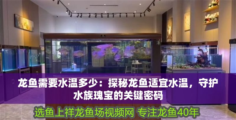 龍魚需要水溫多少：探秘龍魚適宜水溫，守護水族瑰寶的關鍵密碼