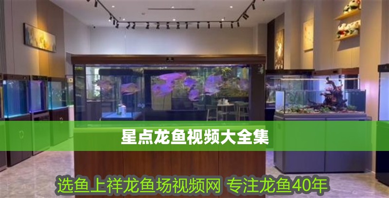 星點龍魚視頻大全集