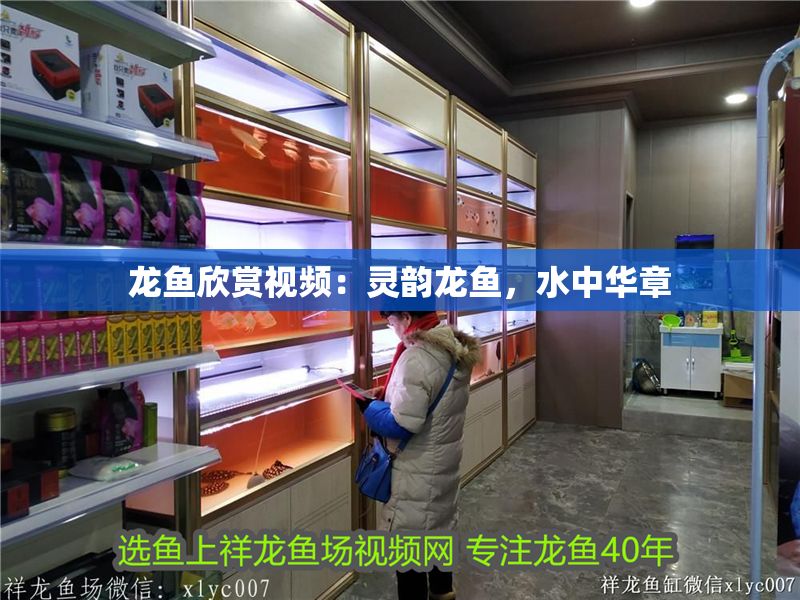 龍魚欣賞視頻：靈韻龍魚，水中華章