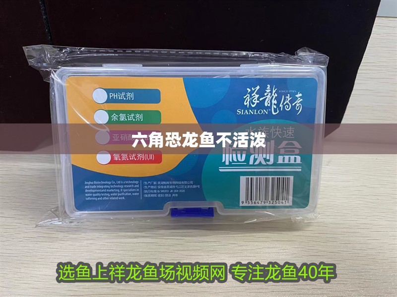 六角恐龍魚不活潑