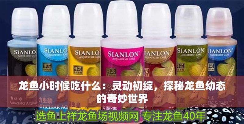 龍魚小時候吃什么：靈動初綻，探秘龍魚幼態的奇妙世界