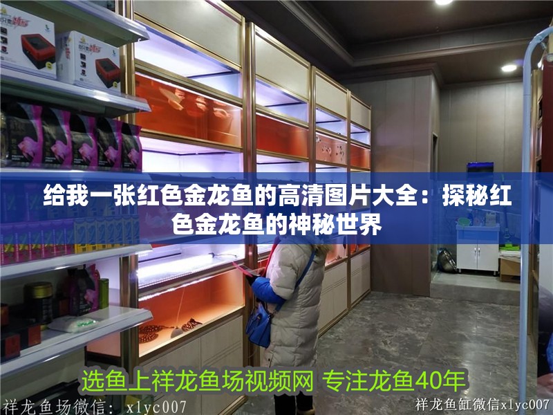 給我一張紅色金龍魚的高清圖片大全：探秘紅色金龍魚的神秘世界