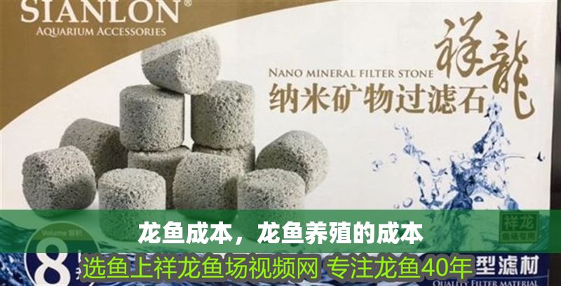 龍魚成本，龍魚養殖的成本