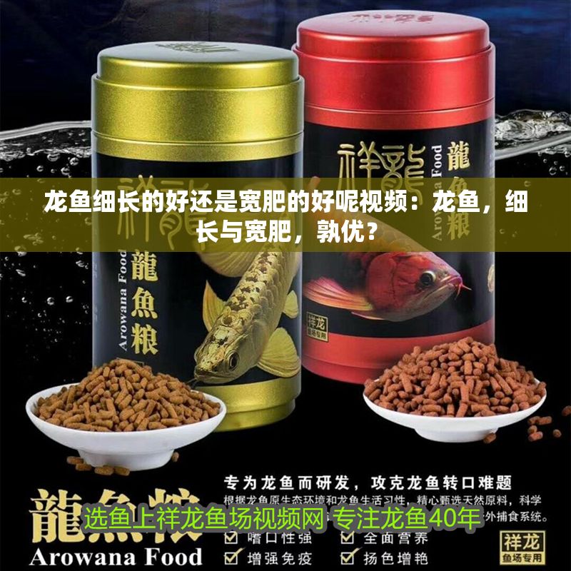 龍魚細長的好還是寬肥的好呢視頻：龍魚，細長與寬肥，孰優？