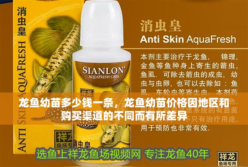 龍魚幼苗多少錢一條，龍魚幼苗價格因地區和購買渠道的不同而有所差異