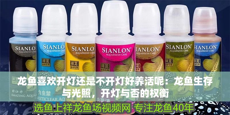 龍魚喜歡開燈還是不開燈好養活呢：龍魚生存與光照，開燈與否的權衡