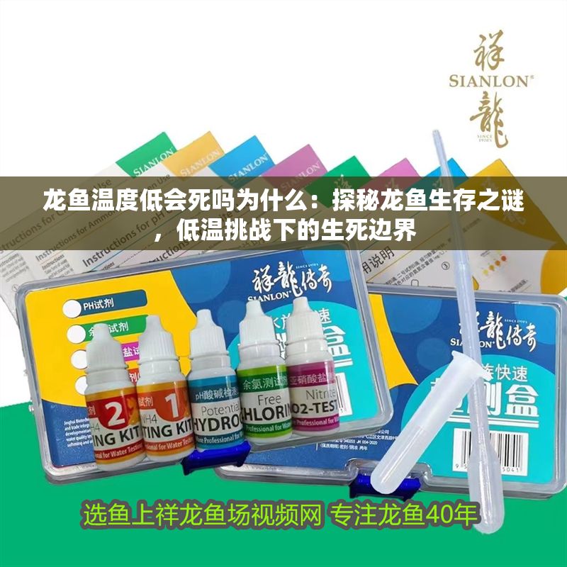 龍魚溫度低會死嗎為什么：探秘龍魚生存之謎，低溫挑戰下的生死邊界