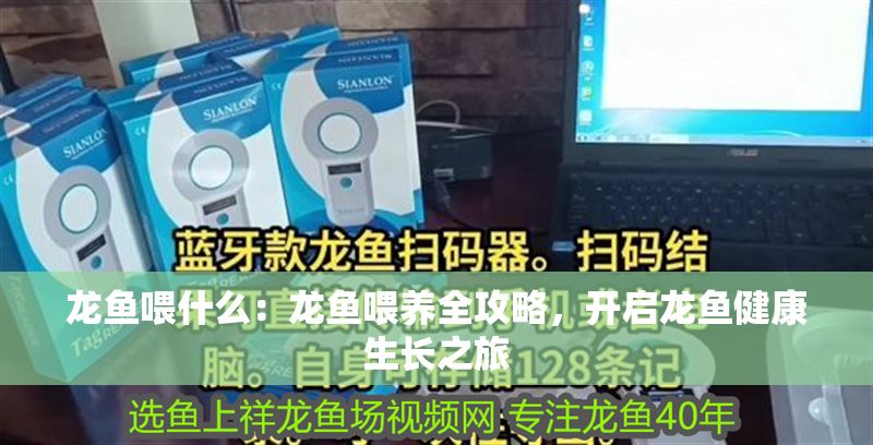 龍魚喂什么：龍魚喂養全攻略，開啟龍魚健康生長之旅