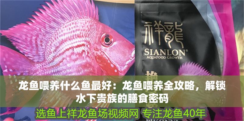 龍魚喂養(yǎng)什么魚最好：龍魚喂養(yǎng)全攻略，解鎖水下貴族的膳食密碼