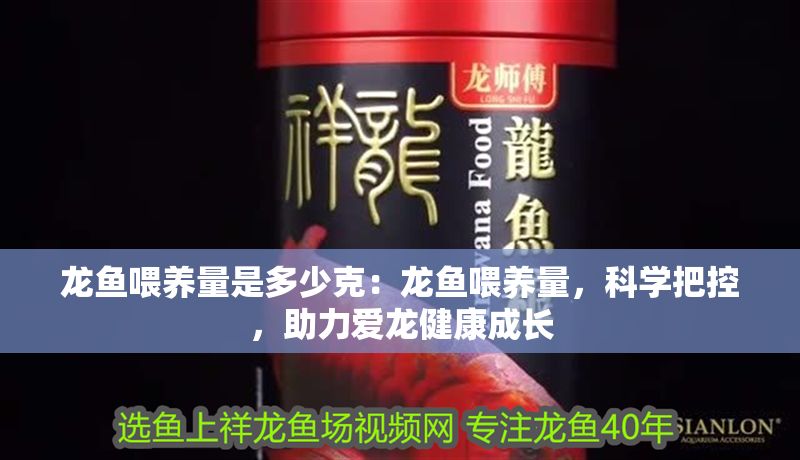 龍魚喂養(yǎng)量是多少克：龍魚喂養(yǎng)量，科學(xué)把控，助力愛龍健康成長