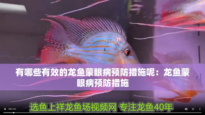 有哪些有效的龍魚蒙眼病預防措施呢：龍魚蒙眼病預防措施