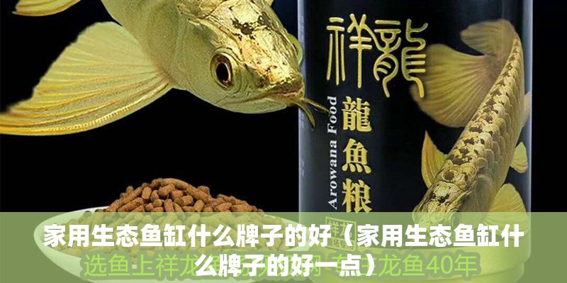 家用生態(tài)魚缸什么牌子的好（家用生態(tài)魚缸什么牌子的好一點(diǎn)）