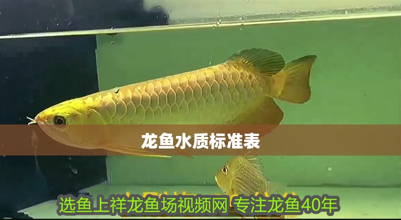龍魚水質標準表
