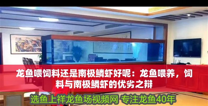 龍魚喂飼料還是南極鱗蝦好呢：龍魚喂養，飼料與南極鱗蝦的優劣之辯