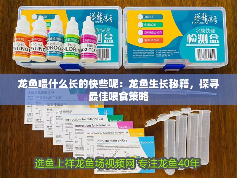 龍魚喂什么長的快些呢：龍魚生長秘籍，探尋最佳喂食策略