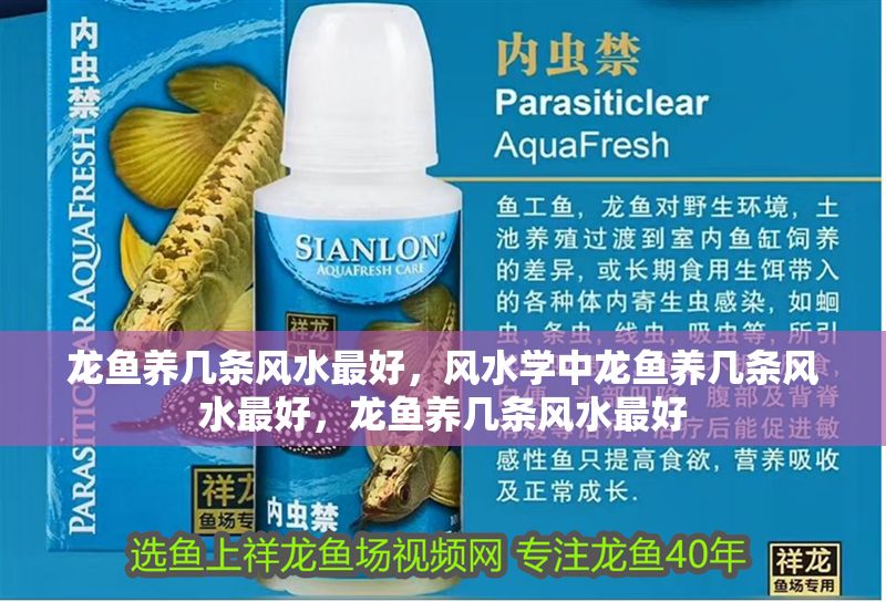 龍魚養幾條風水最好,風水學中龍魚養幾條風水最好,龍魚養幾條風水最好 龍魚百科 第6張 龍魚養幾條風水最好,風水學中龍魚養幾條風水最好,龍魚養幾條風水最好 龍魚養幾條風水最好,風水學中龍魚養幾條風水最好,龍魚養幾條風水最好 龍魚百科 第6張