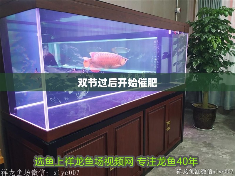 雙節(jié)過后開始催肥