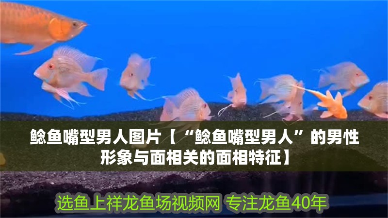 鯰魚嘴型男人圖片【“鯰魚嘴型男人”的男性形象與面相關的面相特征】