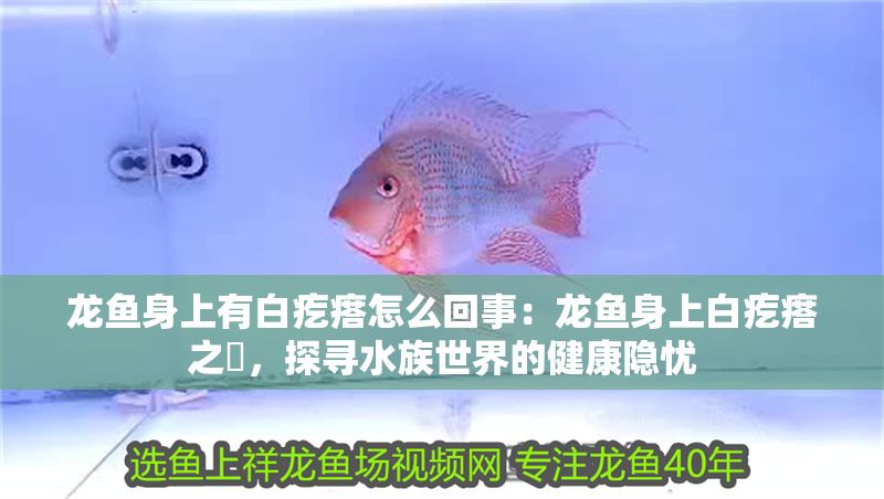 龍魚身上有白疙瘩怎么回事：龍魚身上白疙瘩之謎，探尋水族世界的健康隱憂