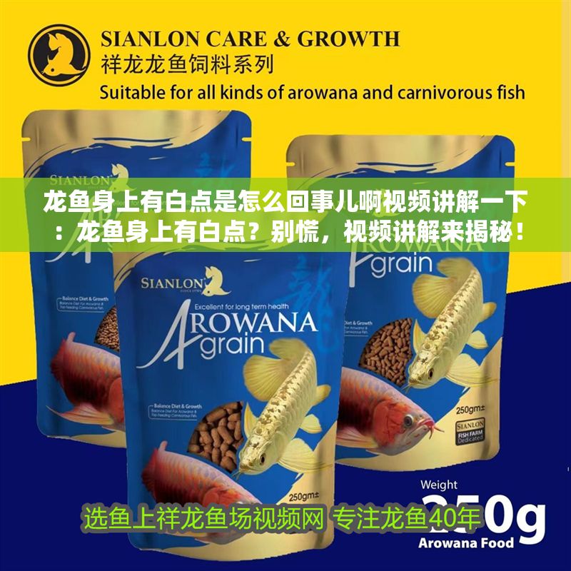 龍魚身上有白點是怎么回事兒啊視頻講解一下：龍魚身上有白點？別慌，視頻講解來揭秘！
