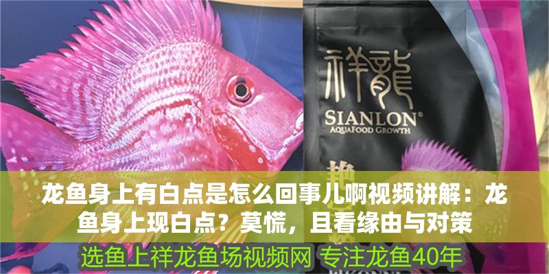 龍魚身上有白點是怎么回事兒啊視頻講解：龍魚身上現白點？莫慌，且看緣由與對策