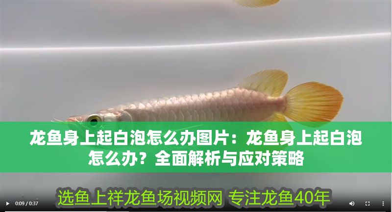龍魚身上起白泡怎么辦圖片：龍魚身上起白泡怎么辦？全面解析與應對策略
