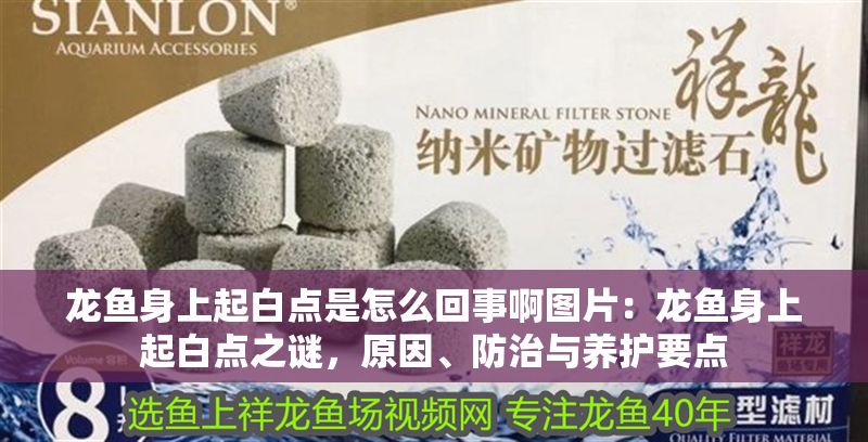 龍魚身上起白點是怎么回事啊圖片：龍魚身上起白點之謎，原因、防治與養護要點