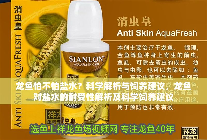 龍魚怕不怕鹽水？科學解析與飼養建議，龍魚對鹽水的耐受性解析及科學飼養建議