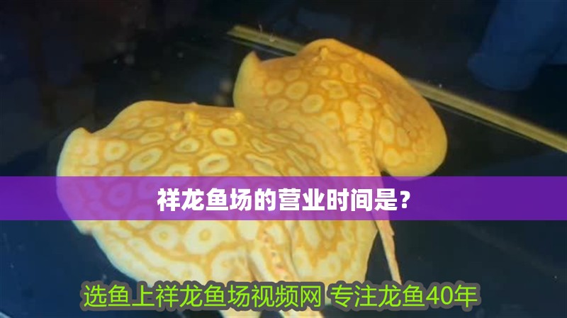 祥龍魚場的營業時間是？