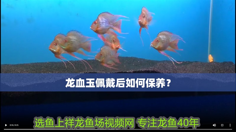 龍血玉佩戴后如何保養？