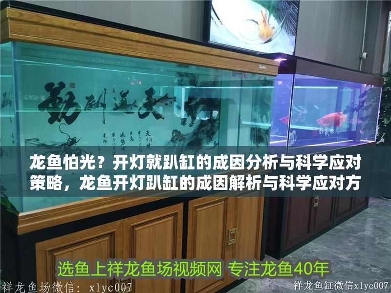 龍魚怕光？開燈就趴缸的成因分析與科學應對策略，龍魚開燈趴缸的成因解析與科學應對方案