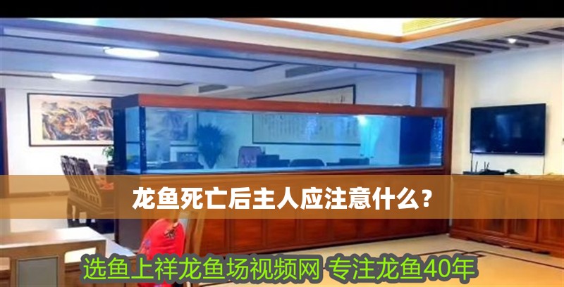 龍魚死亡后主人應注意什么？