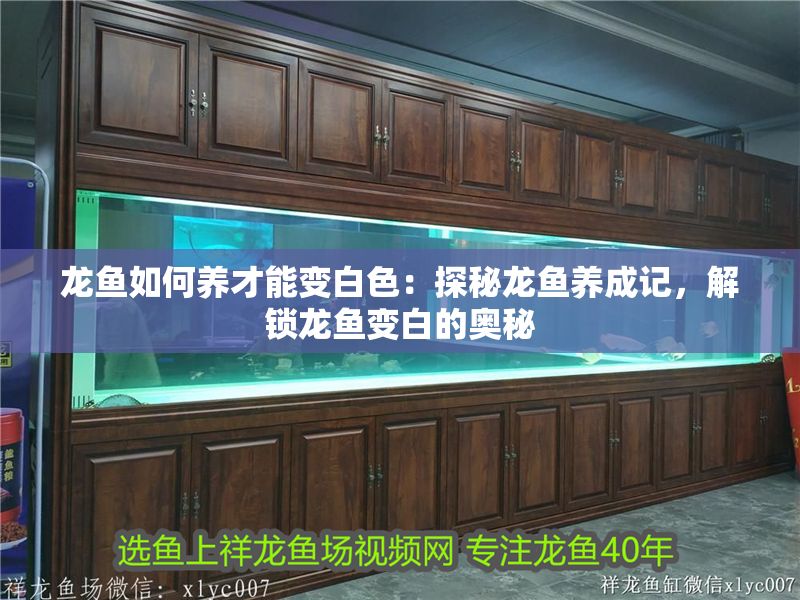 龍魚如何養(yǎng)才能變白色：探秘龍魚養(yǎng)成記，解鎖龍魚變白的奧秘