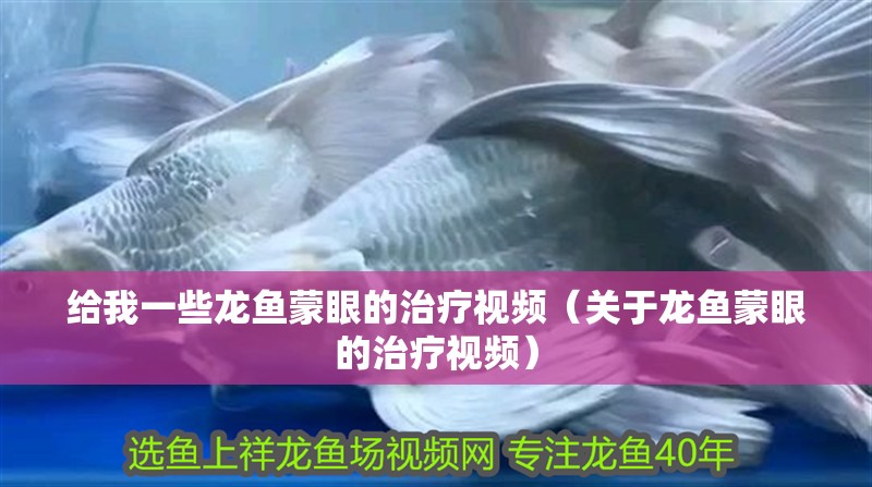 給我一些龍魚蒙眼的治療視頻（關于龍魚蒙眼的治療視頻）