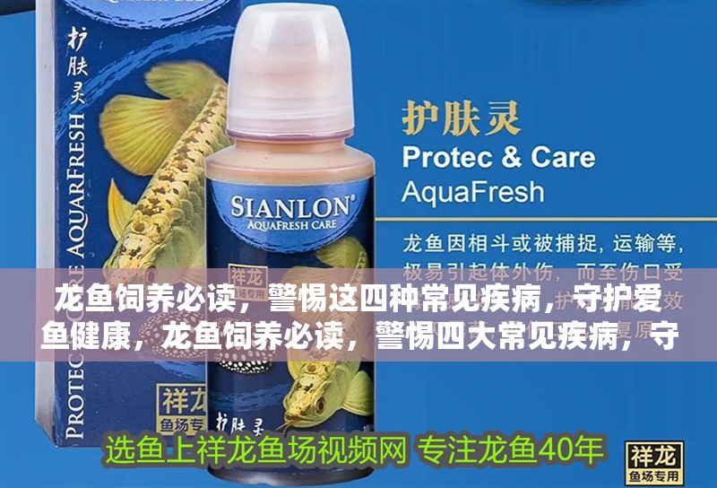 龍魚飼養(yǎng)必讀，警惕這四種常見疾病，守護(hù)愛魚健康，龍魚飼養(yǎng)必讀，警惕四大常見疾病，守護(hù)愛魚健康