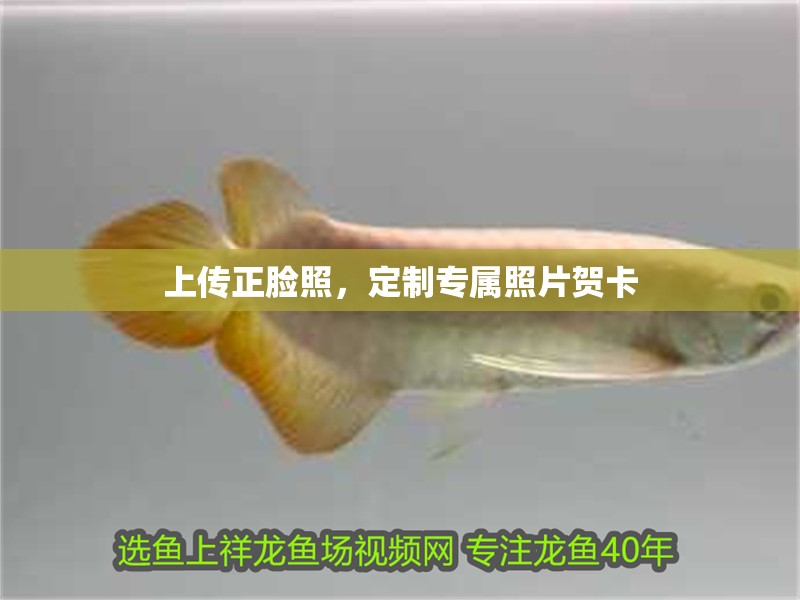 上傳正臉照，定制專屬照片賀卡