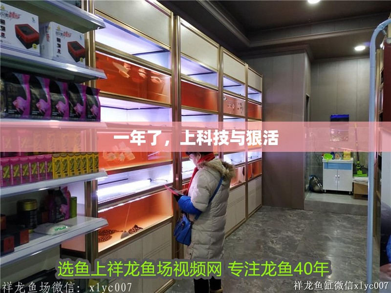 一年了，上科技與狠活